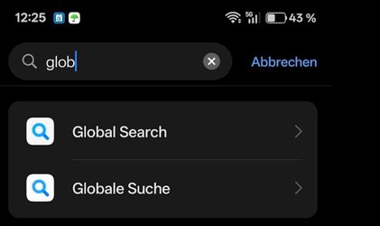 Globale Suche.jpeg