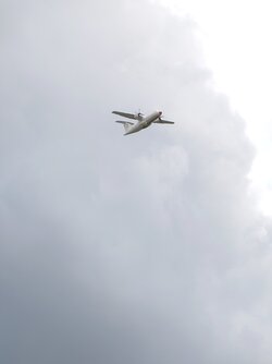 20250707_133527087.JPG