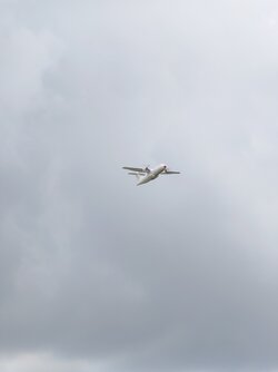 20250707_133525461.JPG