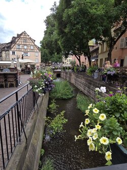 20250707_121444.jpg