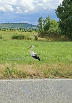 IMG-20250707-WA0062(1).jpg