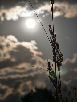 IMG_20250707_194552.jpg
