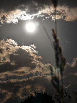IMG_20250707_194553.jpg