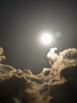 IMG_20250707_194903.jpg