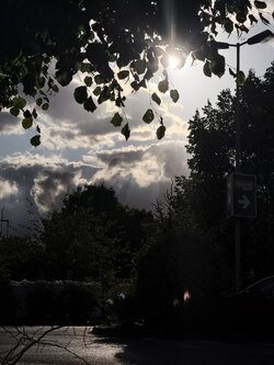 IMG_20250707_194645.jpg
