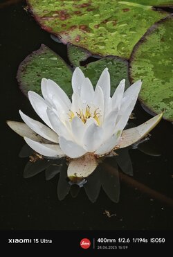 IMG_20250624_165935.jpg