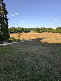 IMG_20250704_184224.jpg