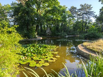 IMG_20250707_185853_HDR_P3_LR.jpg