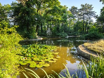 IMG_20250707_185853-Topaz_plus_LR.jpg