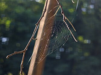 IMG_20250707_185959.jpg