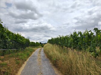IMG_20250708_145102226_HDR.jpg