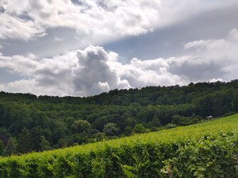 IMG_20250708_151209713_HDR.jpg
