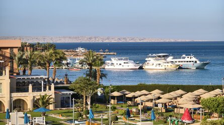 IMG_20250624_181436.jpg