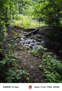 1721.jpg 1721.jpg