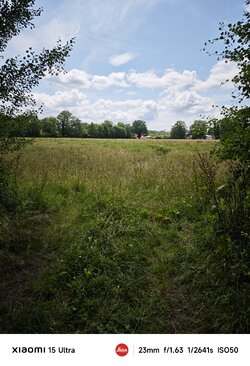 1722.jpg 1722.jpg