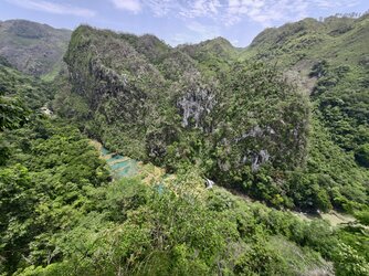 IMG_20250708_120329.jpg