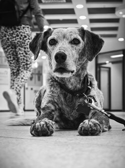 IMG_20250709_180944 (3).jpg