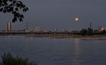 IMG_20250709_221303 (2).jpg