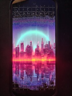 5659304792974409364.jpg.jpeg