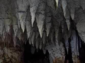 IMG_20250709_122355.jpg