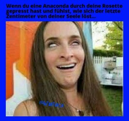 proxy-image (9) (5).jpeg