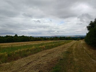 20250709_120539533.JPG