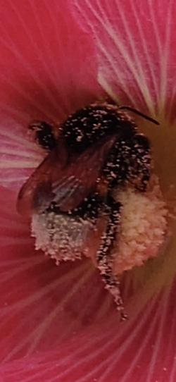 Screenshot_20250710-144937.png