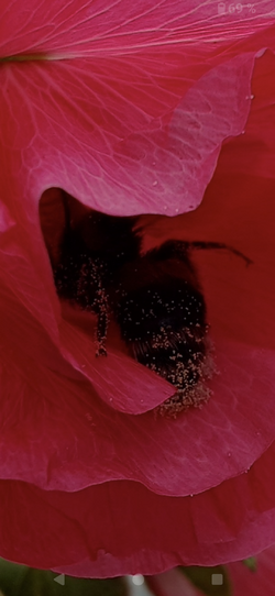 Screenshot_20250710-144821.png