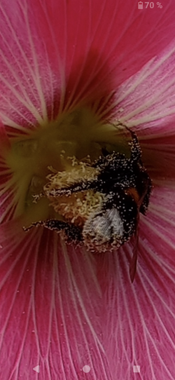 Screenshot_20250710-143643.png