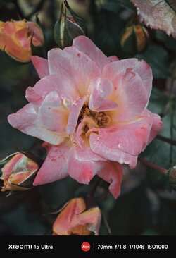 IMG_20250710_053510.jpg
