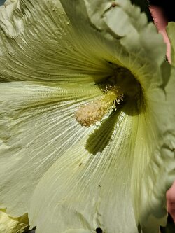 IMG20250710173204~2.jpg
