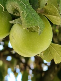 IMG20250710173215~2.jpg