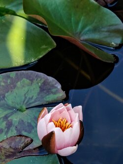 IMG20250710174931~2.jpg