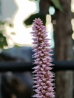 IMG20250710173336~2.jpg