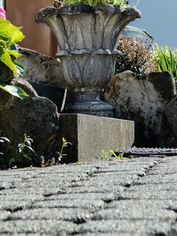 IMG20250710175111~2.jpg