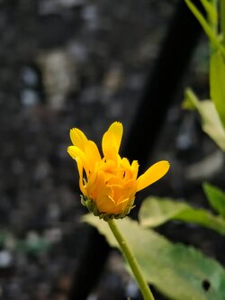 IMG20250710195047~2.jpg