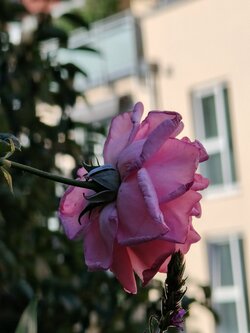 IMG20250710195105~2.jpg