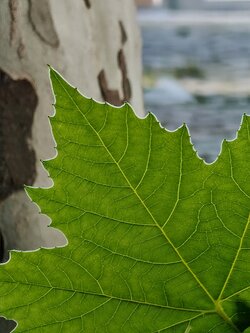 IMG20250710192352~2.jpg