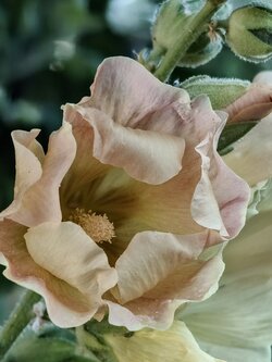 IMG20250710194929~2.jpg