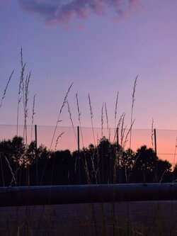 IMG20250710212639~2.jpg