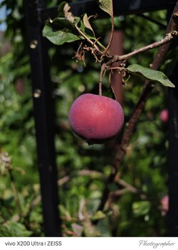 IMG_20250709_165439.jpeg