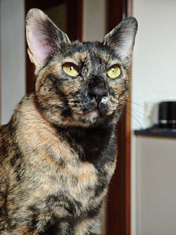 IMG_20250708_184319.jpg