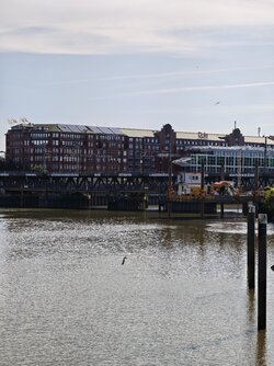 2007.jpg