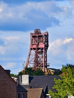 IMG_20250710_185549.jpg