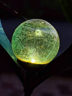 IMG_20250710_222237.jpg