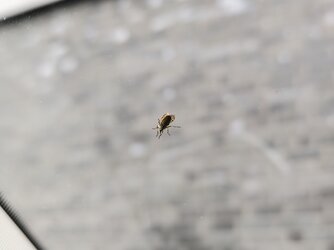IMG_20250711_113524.jpg