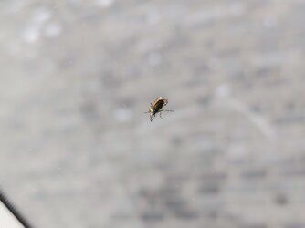 IMG_20250711_113437.jpg