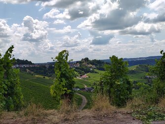 IMG_20250711_142522129_HDR.jpg