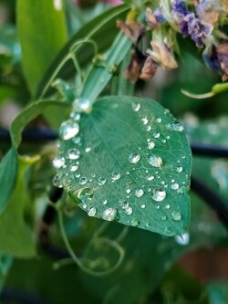 IMG20250711203726~2.jpg
