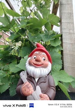 IMG_20250712_083620.jpg